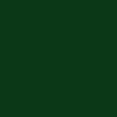 Evergreen Metal Roofing color swatch