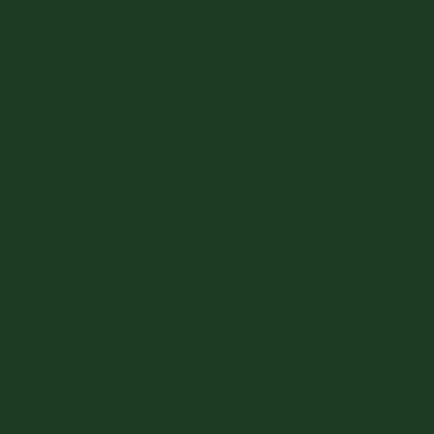 Hartford Green Metal Roofing color swatch