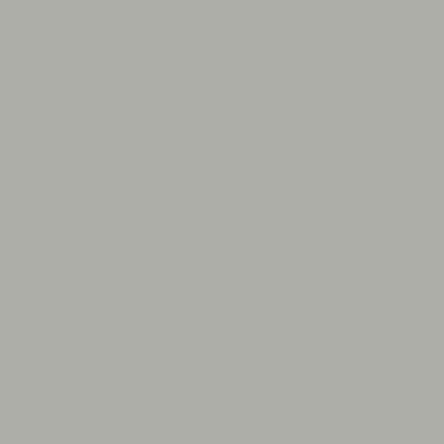 Light Gray Metal Roofing color swatch