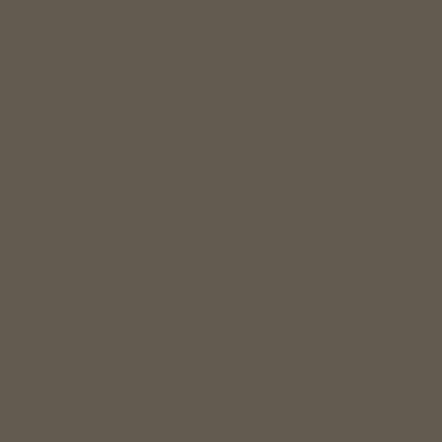 Medium Bronze Metal Roofing color swatch