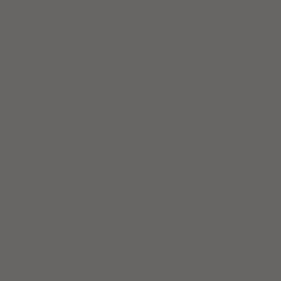 Slate Gray Metal Roofing color swatch