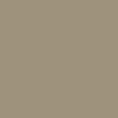 Tan Metal Roofing color swatch