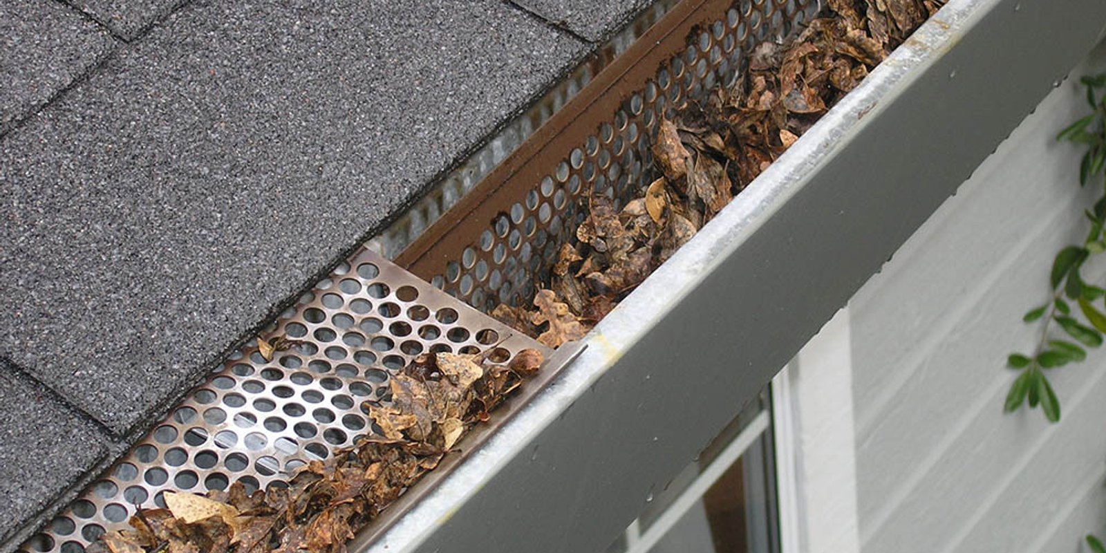 Caring for Your Roof