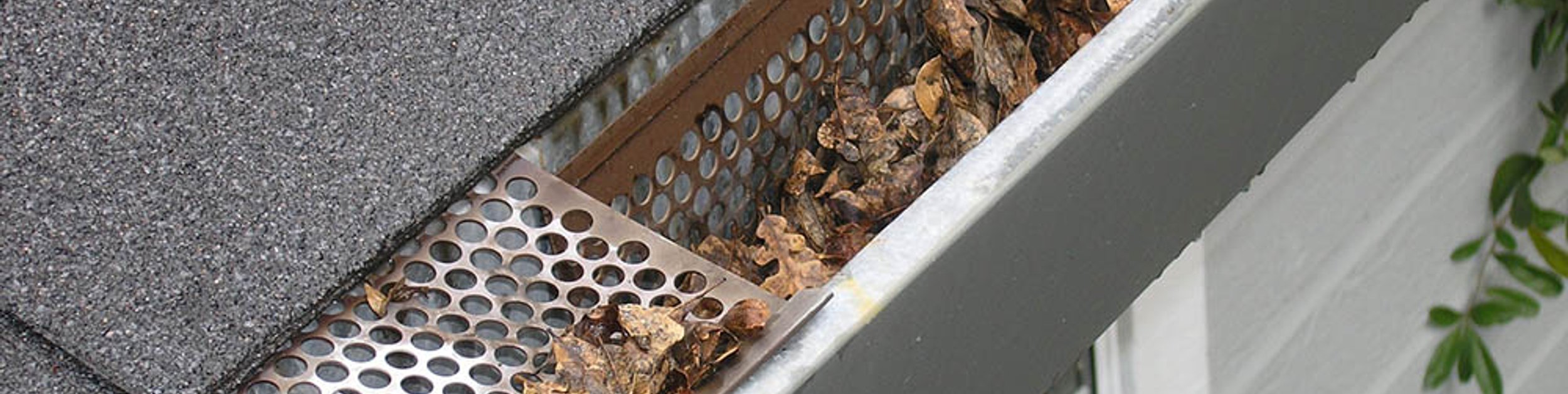 Caring for Your Roof