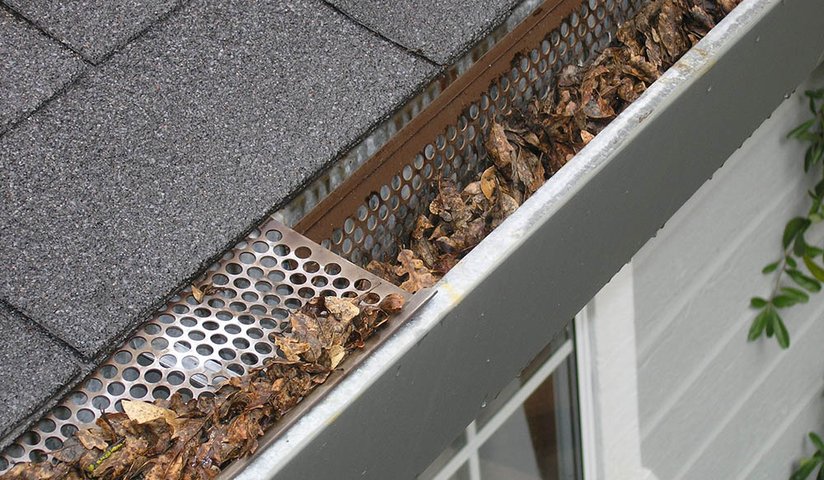 Caring for Your Roof