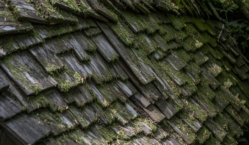 Is Your Roof Missing Shingles?