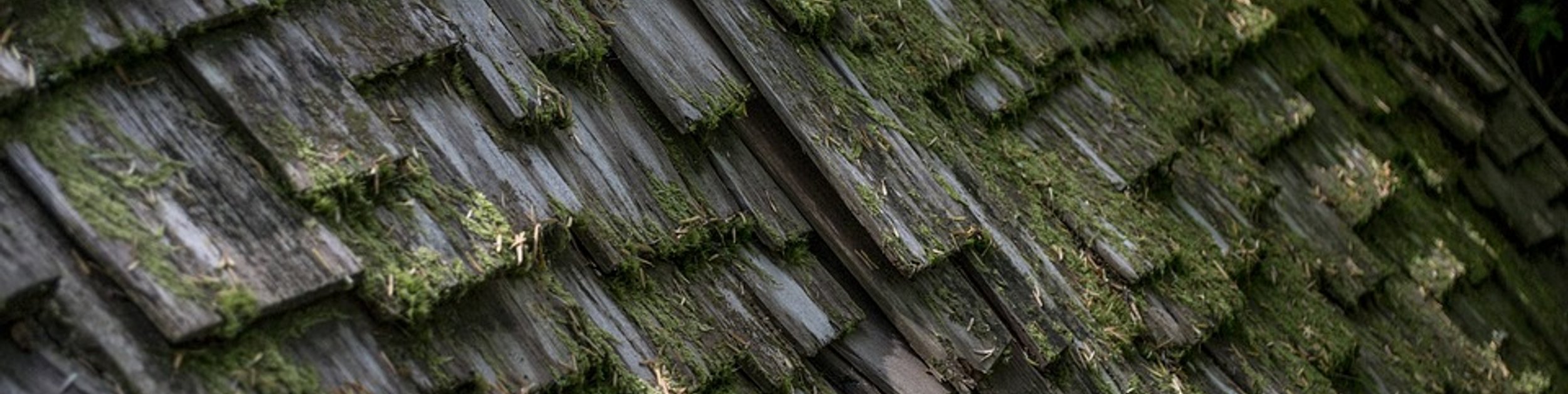 Is Your Roof Missing Shingles?
