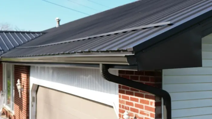 metal roof with seamless gutters and gutter guard